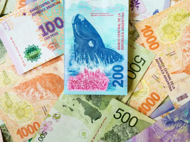 argentinian pesos
